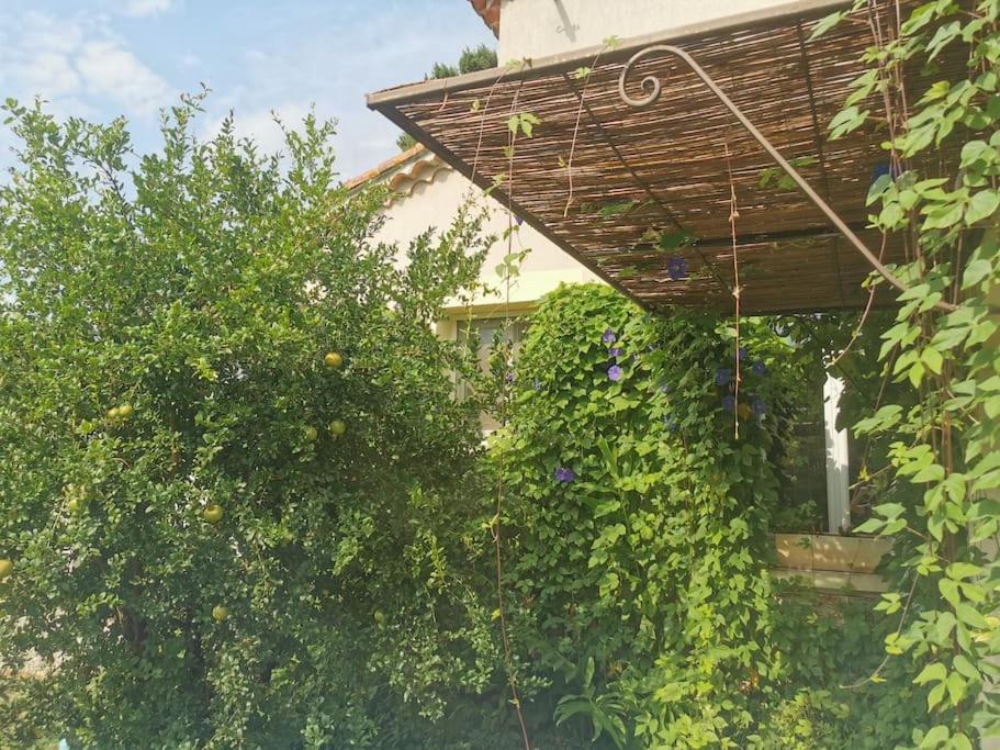 Maison Avec Piscine Dans Village Provencal. Courthezon Экстерьер фото