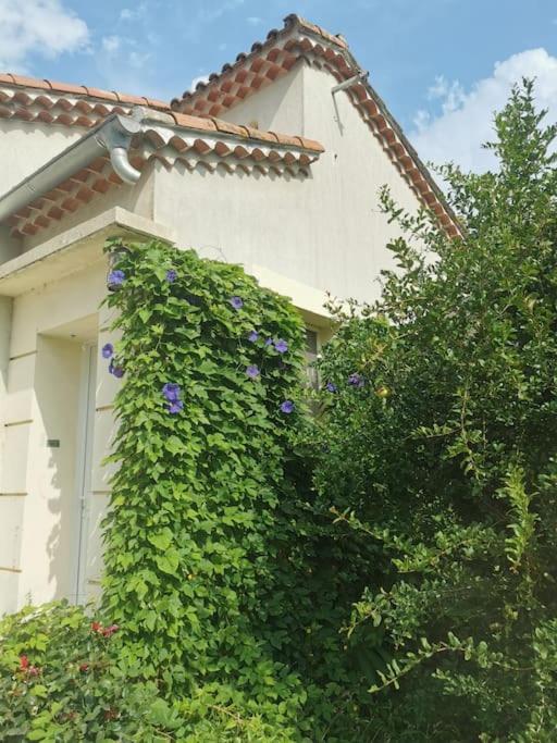 Maison Avec Piscine Dans Village Provencal. Courthezon Экстерьер фото